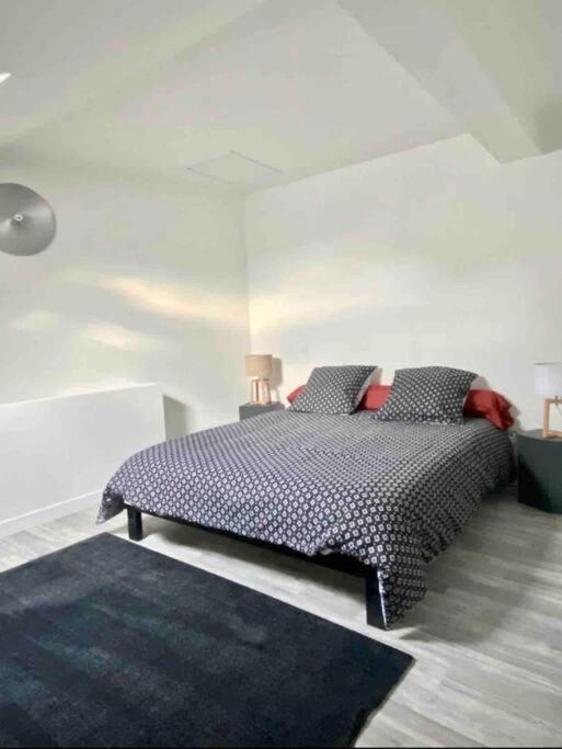 Appartement Centre Ville Saint-Amand-Mont-Rond Ngoại thất bức ảnh