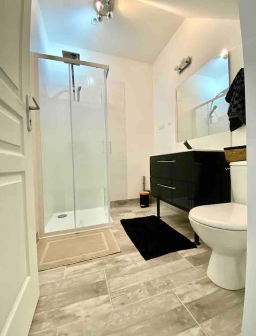 Appartement Centre Ville Saint-Amand-Mont-Rond Ngoại thất bức ảnh
